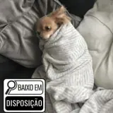 Figurinha de Cachorros para WhatsApp