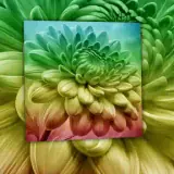 Figurinha para WhatsApp