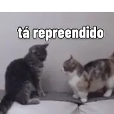 Figurinha de Gatos para WhatsApp