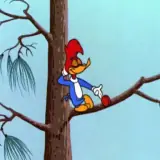 Figurinha de Animais para WhatsApp