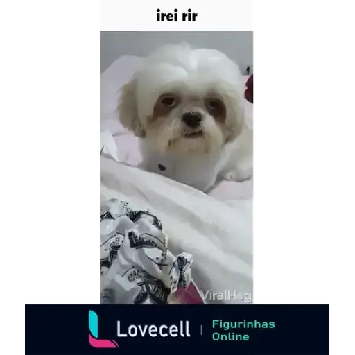Coletadas sticker 33837