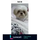 Figurinha para WhatsApp