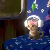 Figurinha de Gatos para WhatsApp