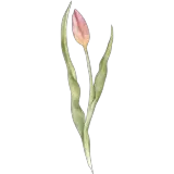 Figurinha para WhatsApp