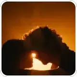 Figurinha de Cachorros para WhatsApp