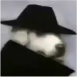 Figurinha de Cachorros para WhatsApp