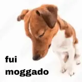 Figurinha de Cachorros para WhatsApp