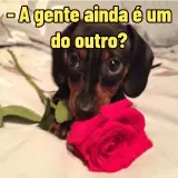 WhatsApp sticker