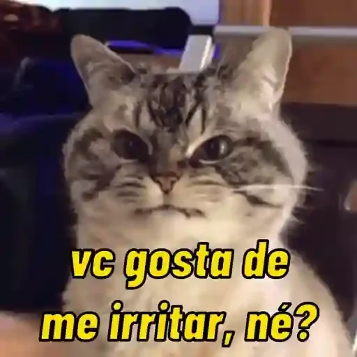 Figurinha para WhatsApp — Memes Brasileiros