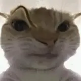 Figurinha para WhatsApp