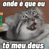 Figurinha para WhatsApp