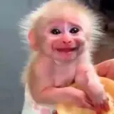 Figurinha para WhatsApp