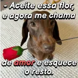 Figurinha para WhatsApp