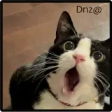 Figurinha de Gatos para WhatsApp