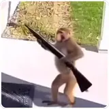 Memes WhatsApp sticker