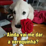 WhatsApp sticker