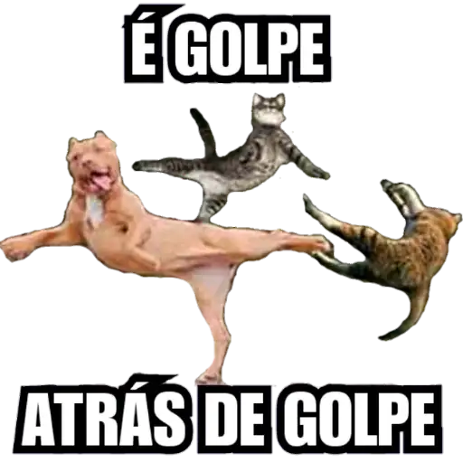 Coletadas sticker 3398