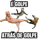 Figurinha de Memes para WhatsApp