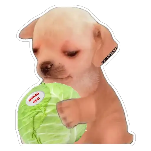 Coletadas sticker 25500