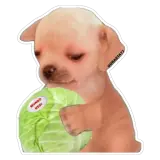 Figurinha de Cachorros para WhatsApp