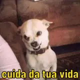 Figurinha para WhatsApp