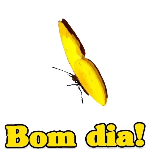 Coletadas sticker 18608