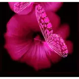 Sticker de Animais para WhatsApp