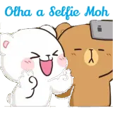 Figurinha de Memes para WhatsApp