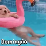 Figurinha de Memes Brasileiros para WhatsApp