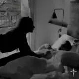 Figurinha de Gatos para WhatsApp