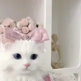 Figurinha de Animais para WhatsApp