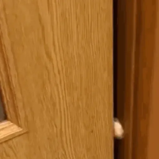 Figurinha para WhatsApp