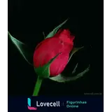 Sticker para WhatsApp