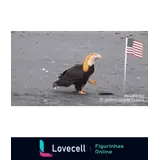 Figurinha para WhatsApp