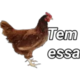 Figurinha para WhatsApp