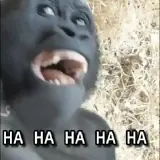 Memes WhatsApp sticker
