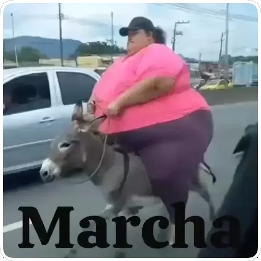 Figurinha para WhatsApp — Memes