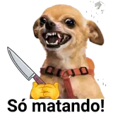 Sticker para WhatsApp
