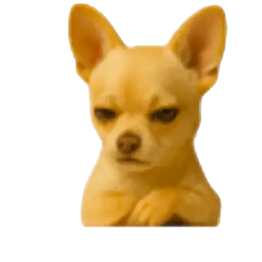 Coletadas sticker 20963