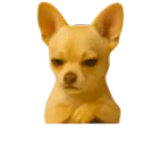 Figurinha de Cachorros para WhatsApp