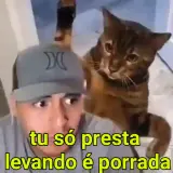 Figurinha de Animais para WhatsApp