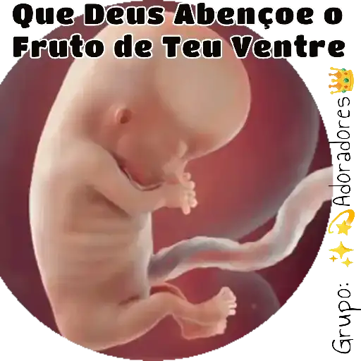 Coletadas sticker 3772