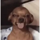 Figurinha para WhatsApp