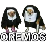 Figurinha de Memes para WhatsApp