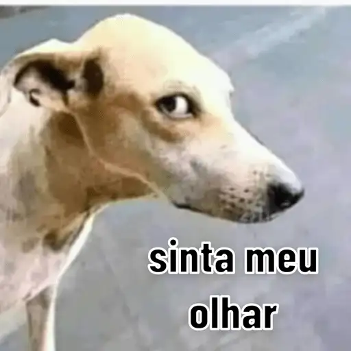 Coletadas sticker 897