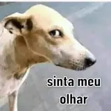 Figurinha para WhatsApp