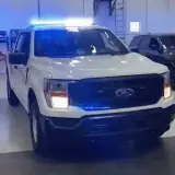 Figurinha para WhatsApp