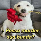 Figurinha para WhatsApp
