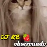 Figurinha de Gatos para WhatsApp