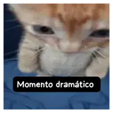 Figurinha de Gatos para WhatsApp